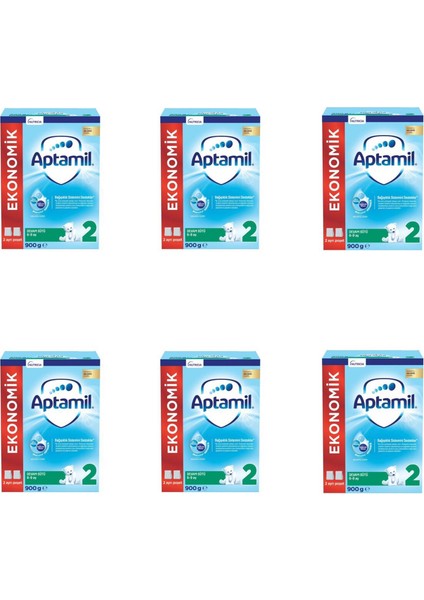 2 Devam Sütü 6-9 Ay 900 gr 6 Kutu