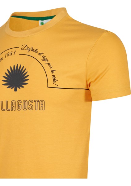 Erkek Sıfır Yaka T-Shirt fiyatları