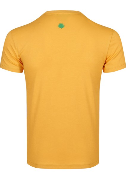 Erkek Sıfır Yaka T-Shirt modelleri