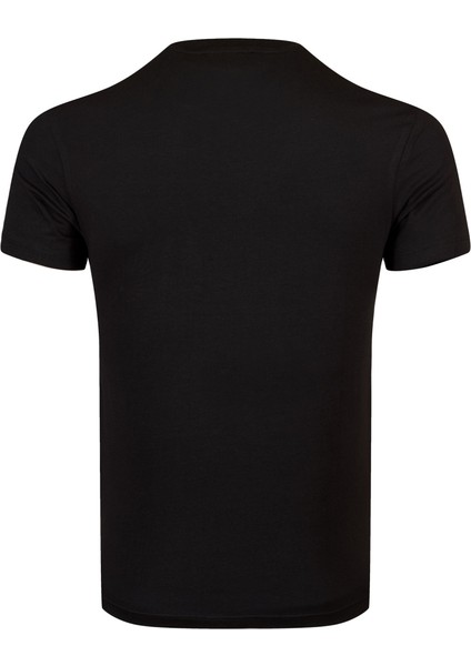 Erkek Sıfır Yaka T-Shirt modelleri