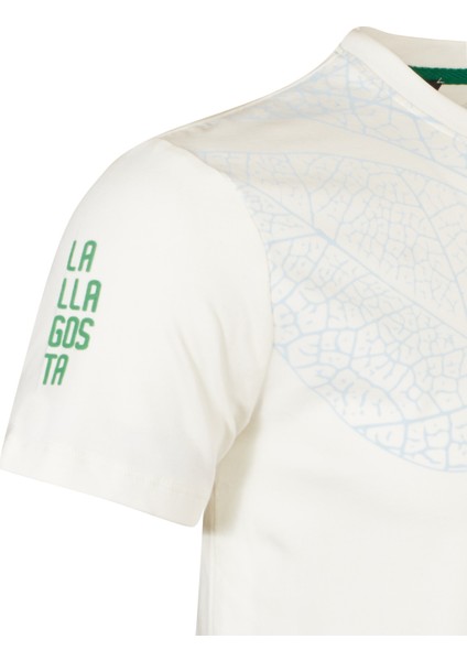 Erkek Sıfır Yaka T-Shirt modelleri