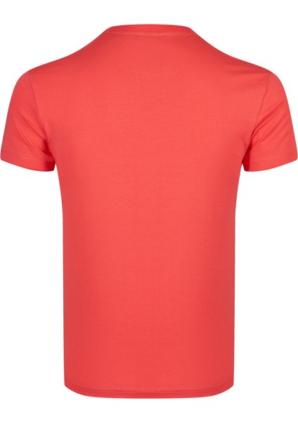 Erkek Sıfır Yaka T-Shirt modelleri