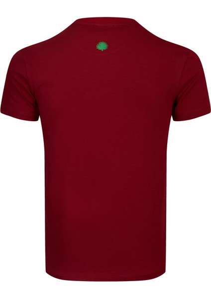 Erkek Sıfır Yaka T-Shirt modelleri