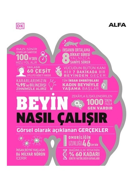Beyin Nasıl Çalışır (Ciltli)