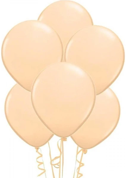 Pastel Ten Rengi Balon 10'lu