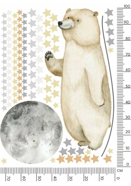 Moon Bear Duvar Stickerı