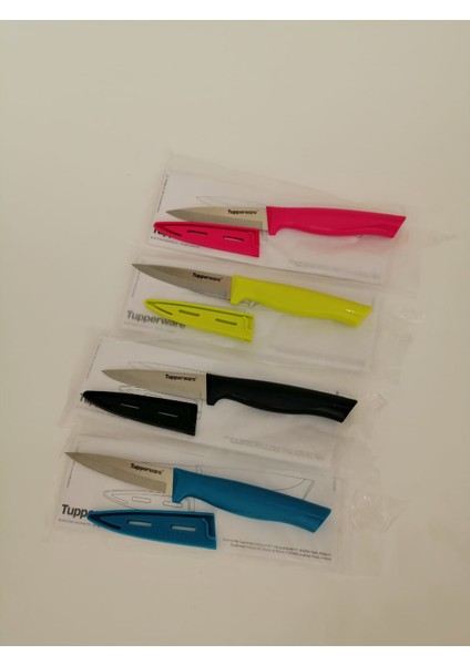 Meyve Bıçakları 4 Lü Renkli