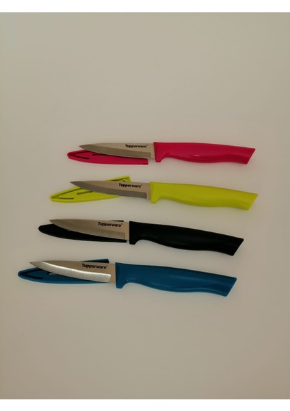 Meyve Bıçakları 4 Lü Renkli fırsatları