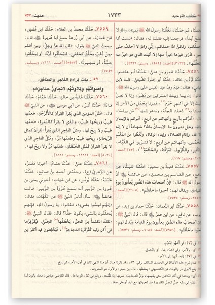 Sahîhu'l-Buhârî - Ebu Abdillah Muhammed Bin İsmail Bin İbrahim El Cu'fi El-Buhari
