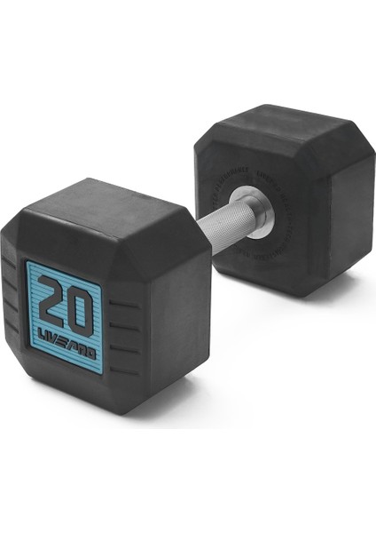LP8004 20 Kg Premium Dambıl