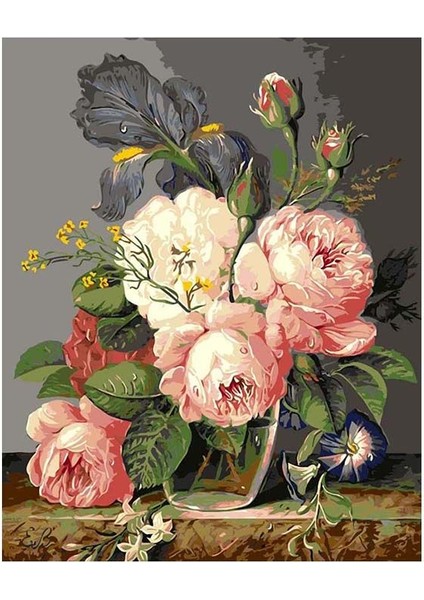 Şakayık Sayılarla Boyama Seti 40 x 50 cm Tuval Şasesine Gerili