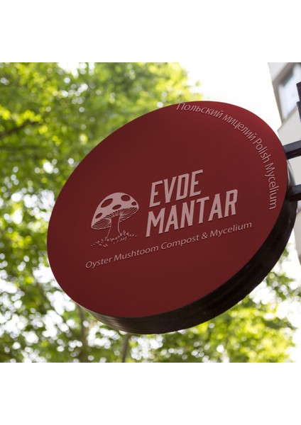 Istridye Mantarı Hobi Deneme Kiti - 3 kg - Whatsapp Destek Hattı - Broşür fiyatları