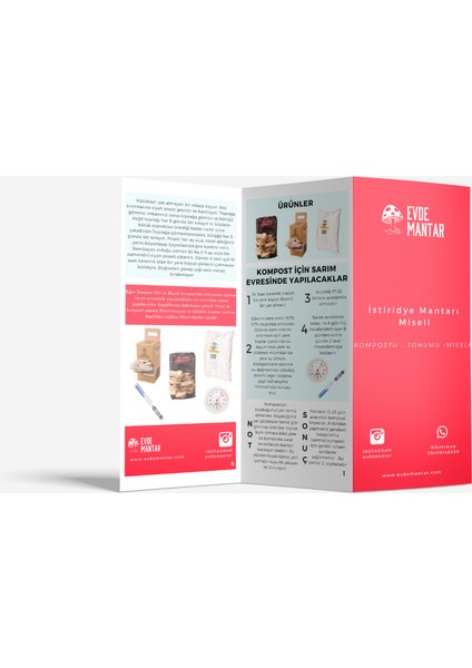 Istridye Mantarı Hobi Deneme Kiti - 3 kg - Whatsapp Destek Hattı - Broşür modelleri