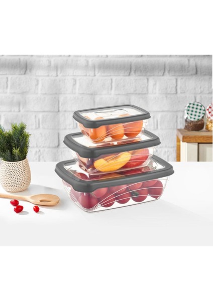 Bio Saklama Kabı Set (3 Boy) L-00686