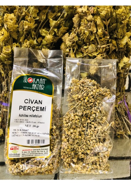Civan Perçemi 30 gr