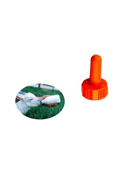 Pet Şişeler Için Lüks Emzik ve Kapak