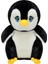 Yavru PENGUEN001 1