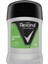 Quantum Dry Erkek Stick Deodorant 50 ml 2