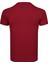 Thewıldwalkıng Erkek Sıfır Yaka T-Shirt 3