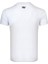 Thewıldwalkıng Erkek Sıfır Yaka T-Shirt 3