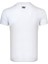 Thewıldwalkıng Erkek Sıfır Yaka T-Shirt 3