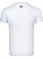 Thewıldwalkıng Erkek Sıfır Yaka T-Shirt 3