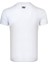 Thewıldwalkıng Erkek Sıfır Yaka T-Shirt 3