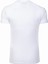 Thewıldwalkıng Erkek Sıfır Yaka T-Shirt 3