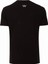 Thewıldwalkıng Erkek Sıfır Yaka T-Shirt 4