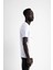 Thewıldwalkıng Erkek Sıfır Yaka T-Shirt 3