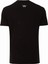 Thewıldwalkıng Erkek Sıfır Yaka T-Shirt 4