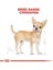 Puppy Yavru Chihuahua Köpek Maması 1,5 kg 3