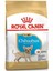 Chihuahua Junior Yavru Köpek Maması 1,5kg 1