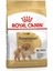 Pomeranian Yetişkin Köpek Maması 3 kg 1