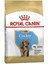 Puppy Yavru Cocker Köpek Maması 3 kg 1