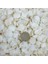 Clam Rose Cochles- Küçük Kiloluk Deniz Kabuğu - 1 kg 1