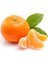 Tüplü Aşılı Satsuma Mandalina Fidanı Yaş 1-2 Boy 90-110CM 1