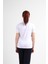 Kadın Sıfır Yaka T-Shirt 4