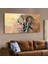 ZEVAHİR MOBİLYA DEKORASYON Zevahir 120X60 Kanvas Fil Tablosu 1