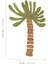 Mini Palm Duvar Stickerı 3