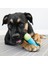 Kong Köpek Çiğneme Oyuncağı, Core Strength 17,5cm 3