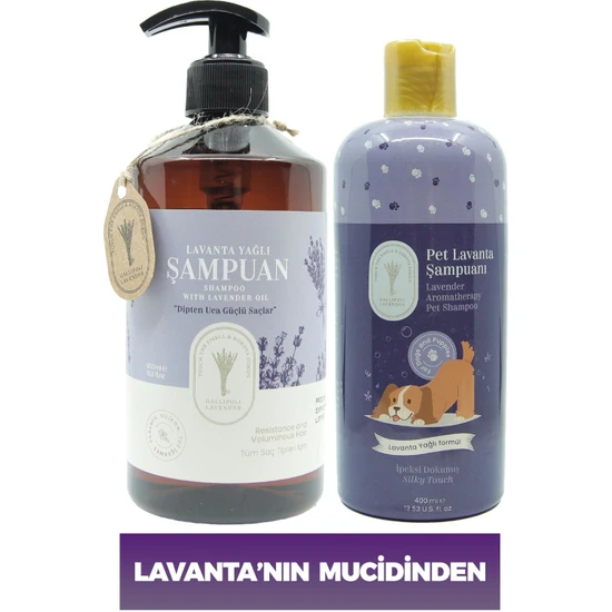 Dr. Lavender Pire Önleyici Köpek Şampuanı 400 ml Pet Şampuan + Tuzsuz Lavanta Yağlı Yetişkin Şampuanı 500 ml
