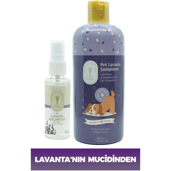 Dr. Lavender Kene Pire Önleyici Köpek Şampuanı 400 ml Pet Şampuanı + 45 ml Lavanta Konolyası