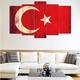 Seçili Renk Renkli