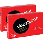 Vocalzone Klasik 12 Pastil 2'li