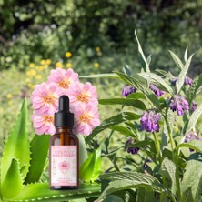 Akita % 100 Doğal Yoğun Yüz Nemlendirici 50ML