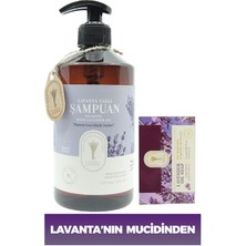 Dr. Lavender Lavanta Yağlı Bitkisel Saç Bakım Şampuanı 500 ml + Bitkisel Lavanta Sabunu 100 gr