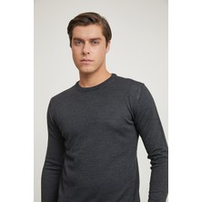 D'S Damat Regular Fit Antrasit Kazak 5HF060632004M