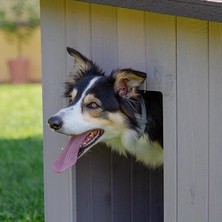 Ferplast Argo 100 Ahşap Köpek Kulübesi