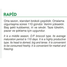 Agrodal Tarım Doğal Yerli Brokoli Çeşit Rapid 100 Adet Tohum